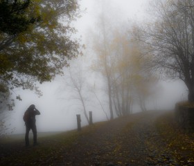 The Mist in Which I Fed by Fabio Bertuzzo