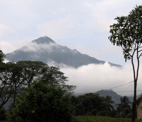 Mont Cameroun